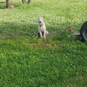 Meet your Posher, Jenn